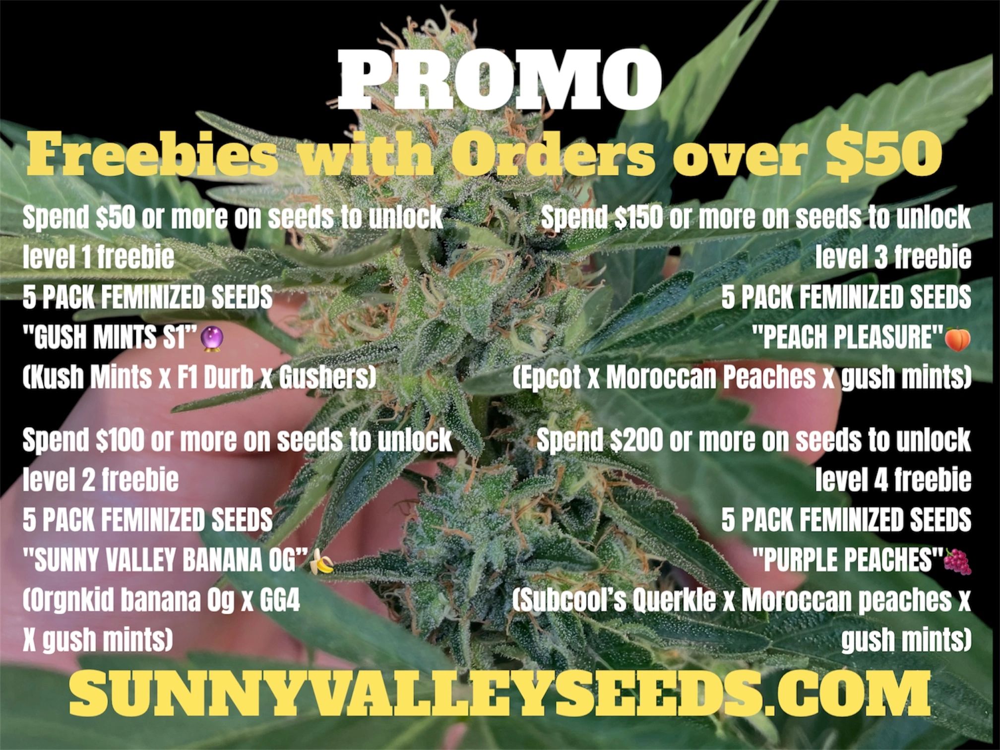 sunnyvalleyseeds.com