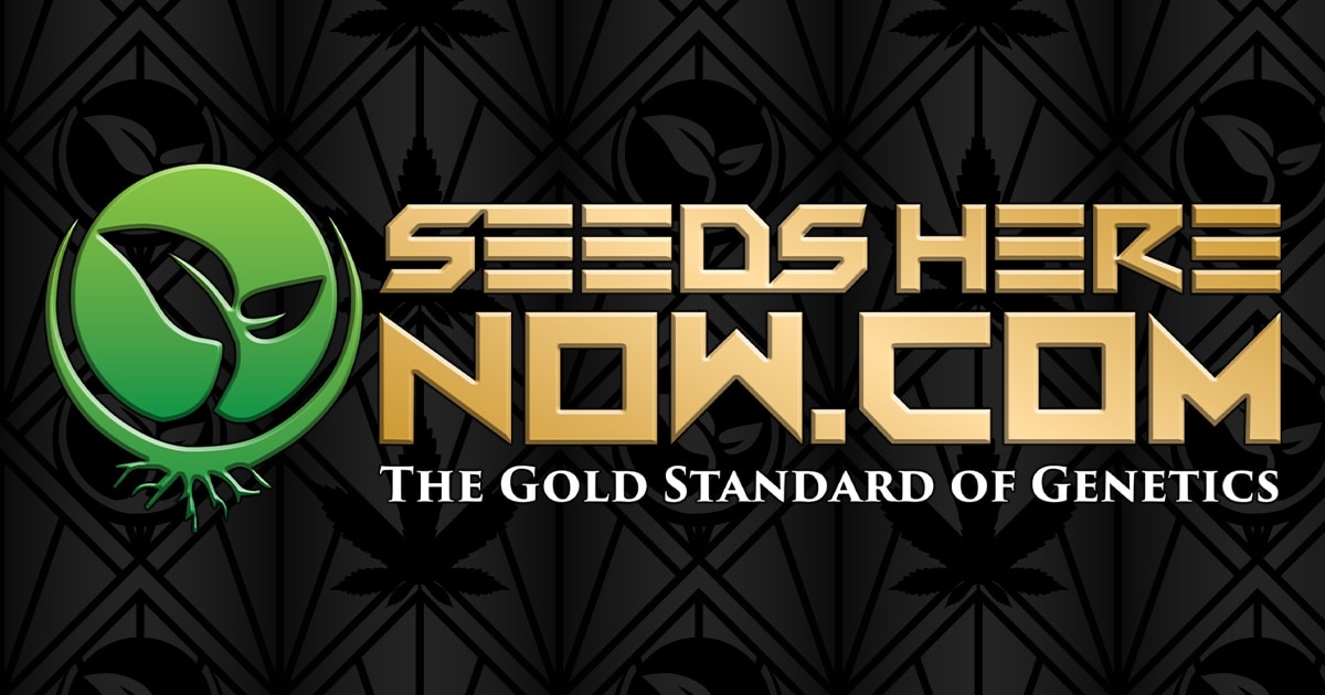 www.seedsherenow.com