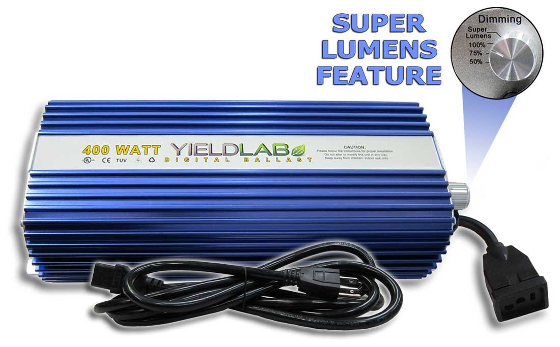 61B4yMJSK5L._SL1100_.jpg