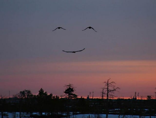 Smile-from-Above.jpeg