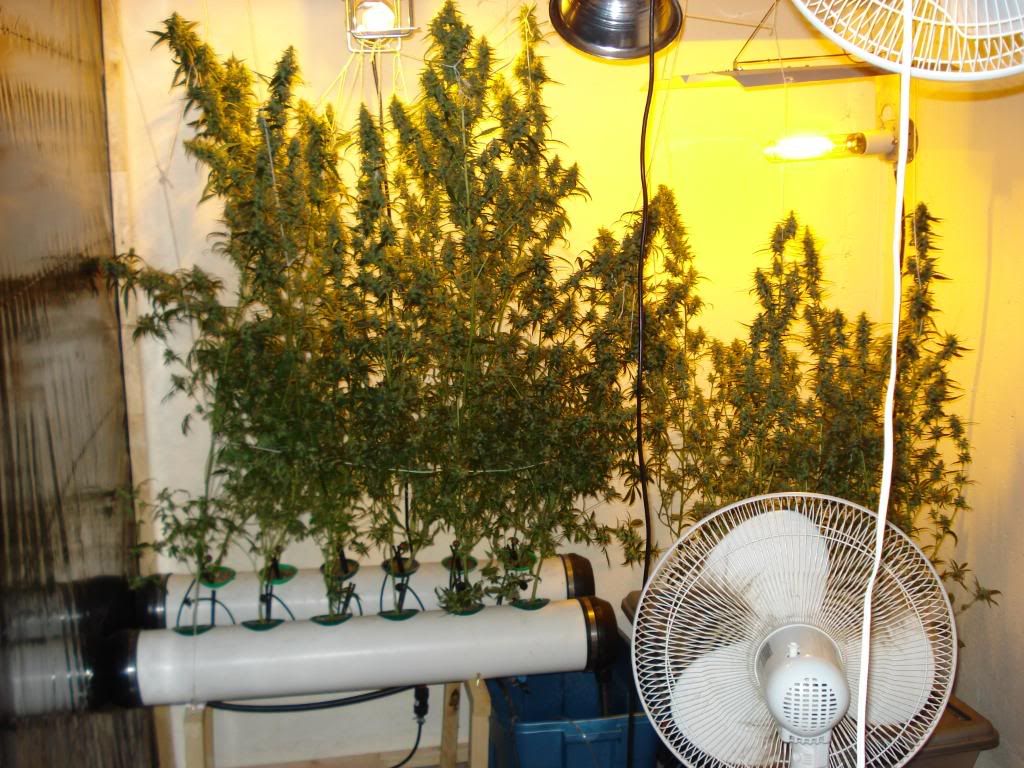 DSC06397.jpg