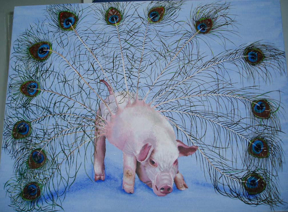 pig_peacock_by_meliemoo.jpg
