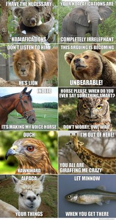 31a82eab9bc6bde2026af0d0f86ed875--so-funny-funny-stuff.jpg