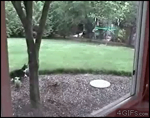 friday_gif_collection_17.gif