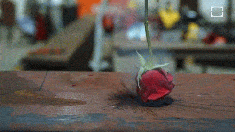 ROLB2D5.gif