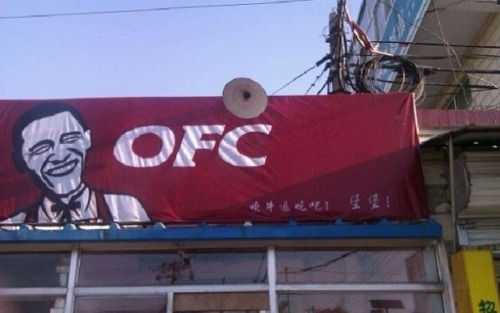 tumblr_lsiwsuoHfk1qfaqbeo1_500.jpg
