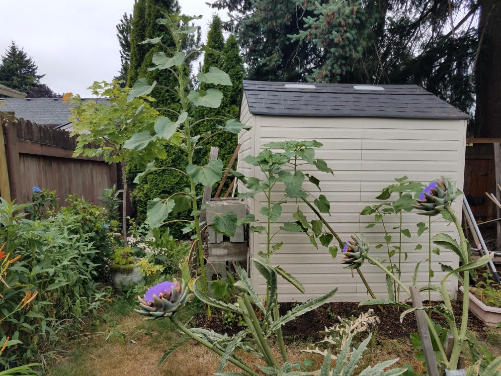 07112021garden3.jpg