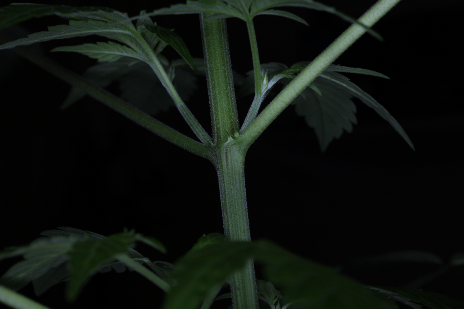 d3cddcd3d660926f2613363f2f1712b2.png