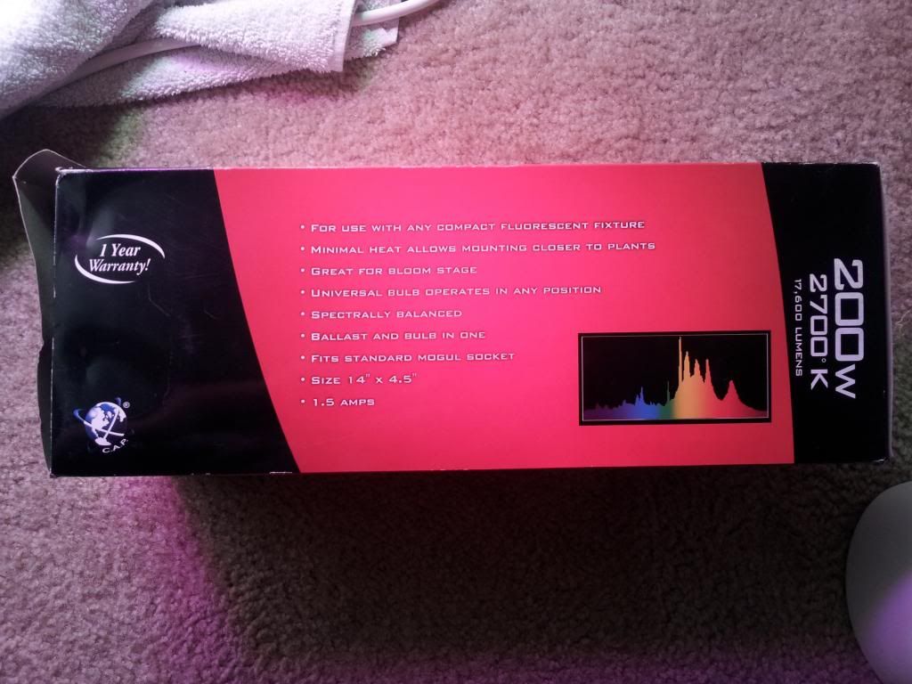 20121106_124159.jpg