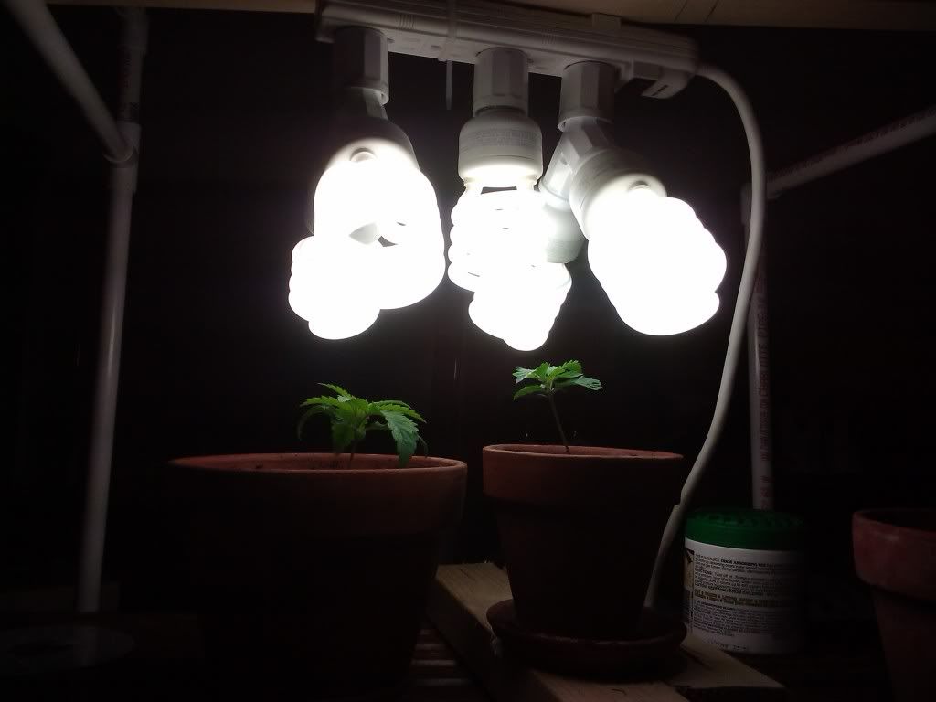 2011-08-02100817.jpg