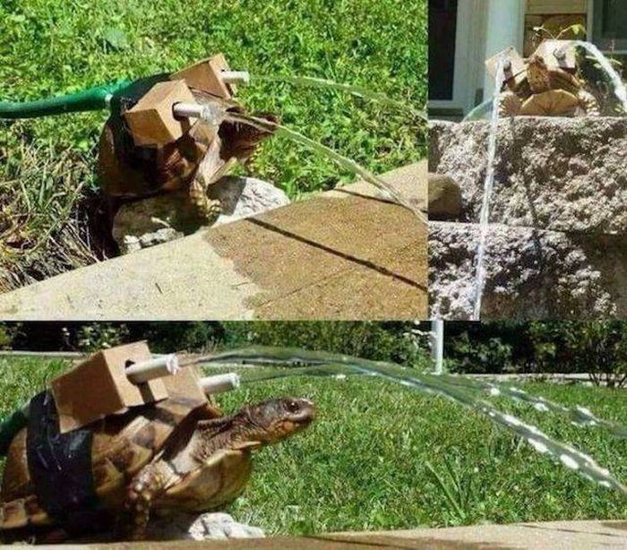 acid_picdump_21.jpg