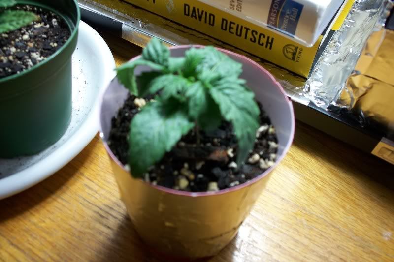 100_0348.jpg