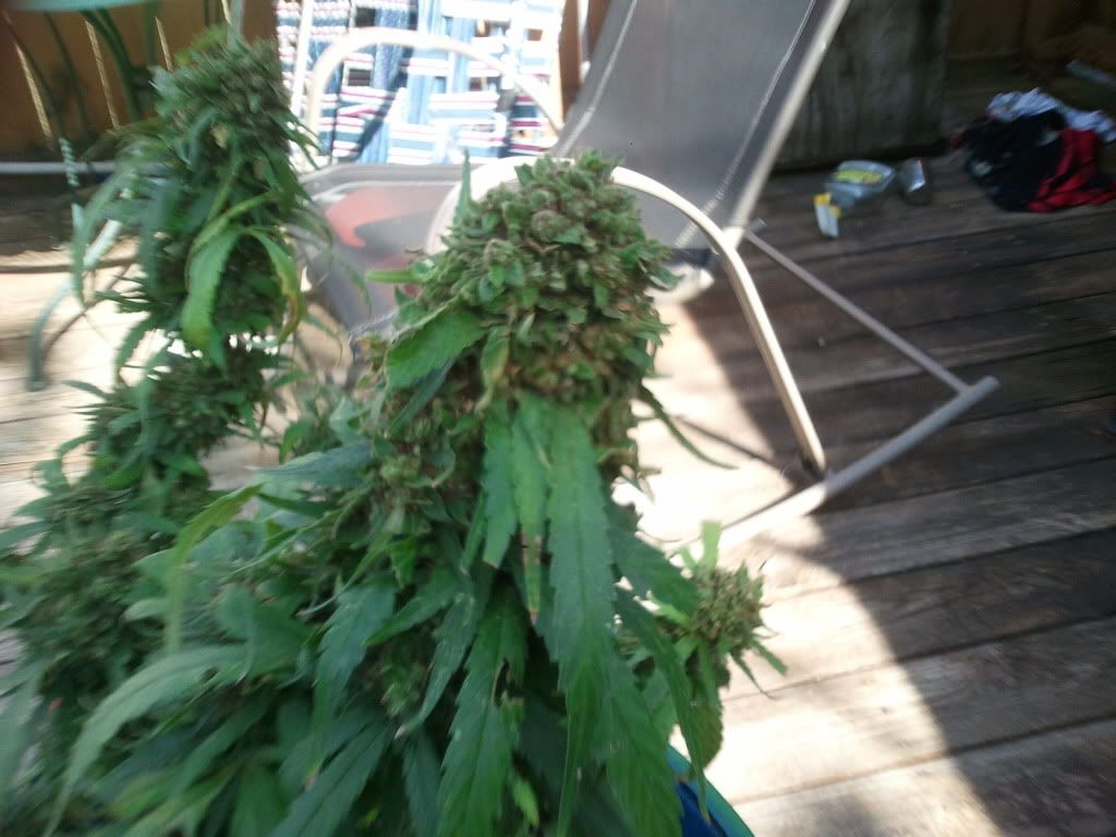 2012-07-17162129.jpg