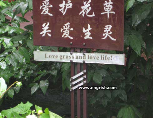 love-grass-and-love-life.jpg