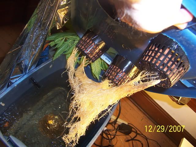 000_2189.jpg