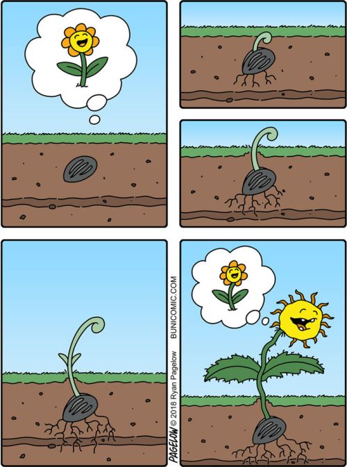 acid_picdump_88.jpg