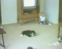 tumblr_mqt268M3xu1qasthro3_r1_250.gif
