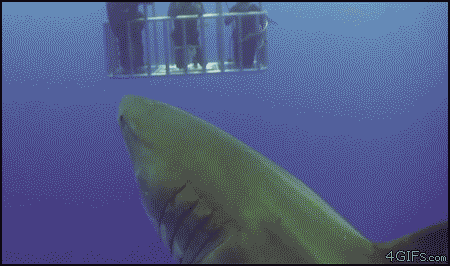 jbykm.gif