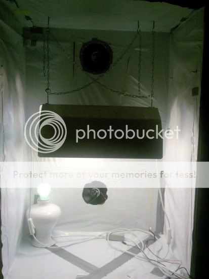 SNC_100803_221640.jpg