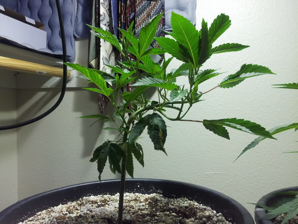 20111107_123352.jpg