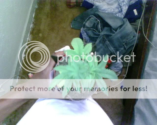 IMG00162.jpg
