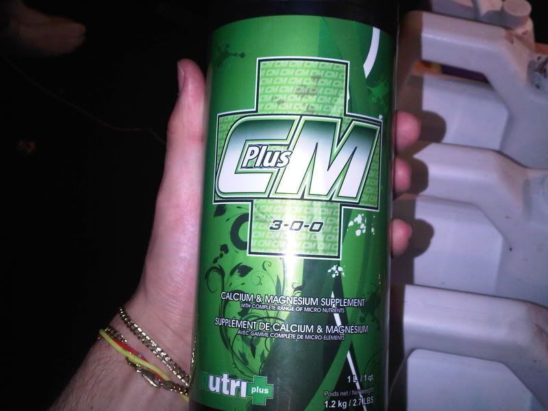 IMG00091-20110117-2345.jpg
