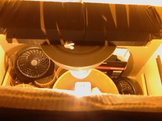 IMAG0031.jpg