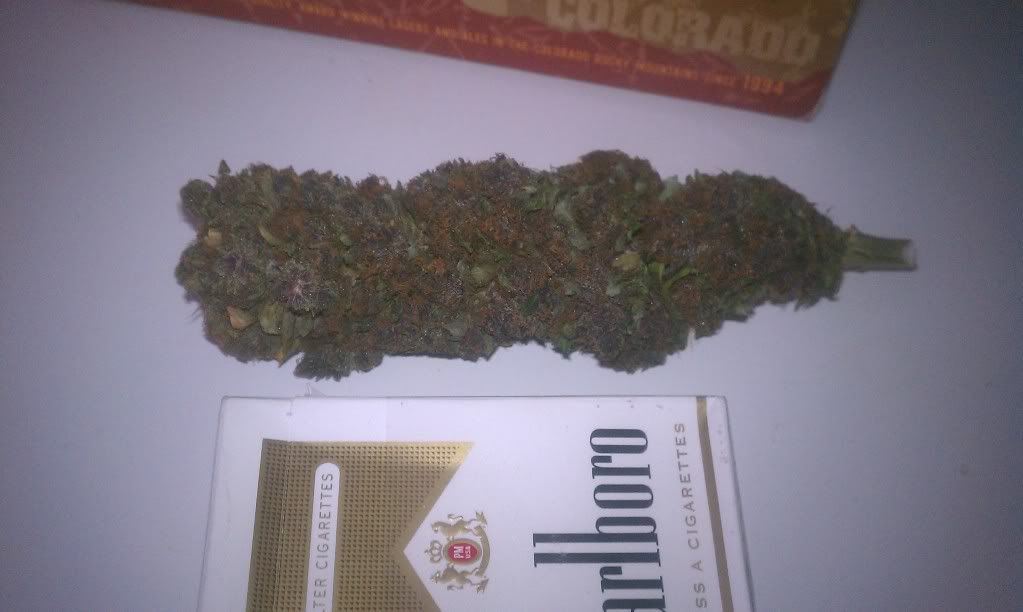 IMAG0953.jpg