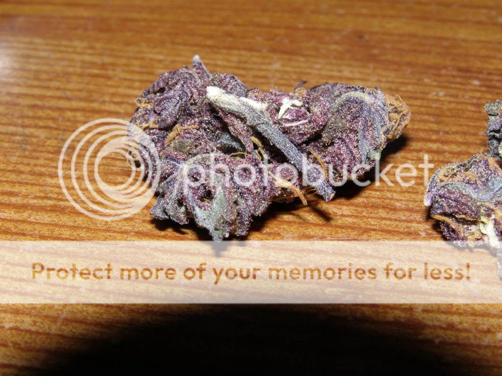 3-24-09023.jpg