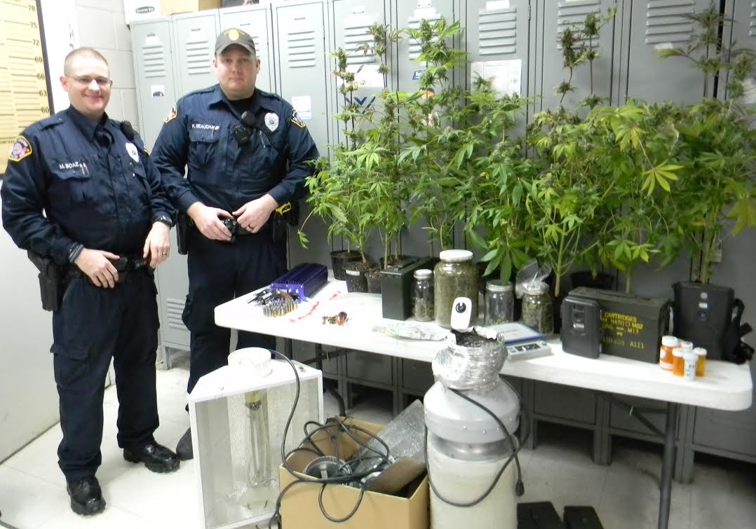 McKenzie-pot-bust.jpg