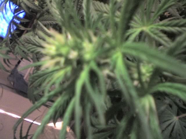 10-25-07_2017.jpg