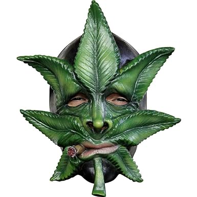 61AEs9L43fL._UX385_.jpg