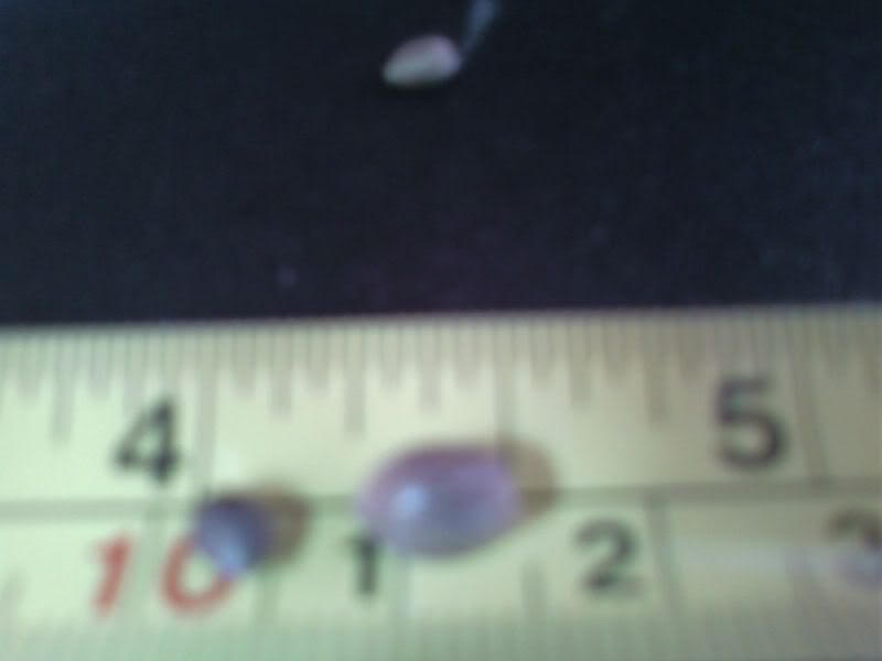 5f7789738946.jpg