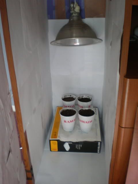 PB210063.jpg