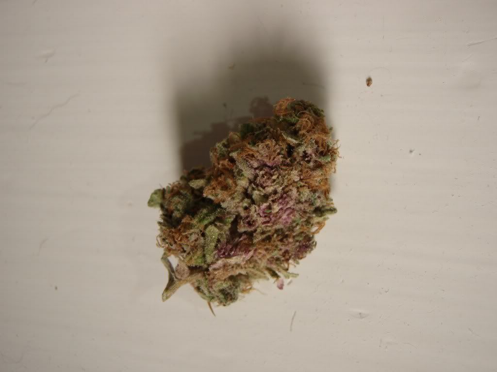 mpxmknug5_1024x768.jpg