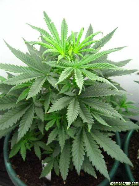 BB_CC_Update_Sep21_092.jpg