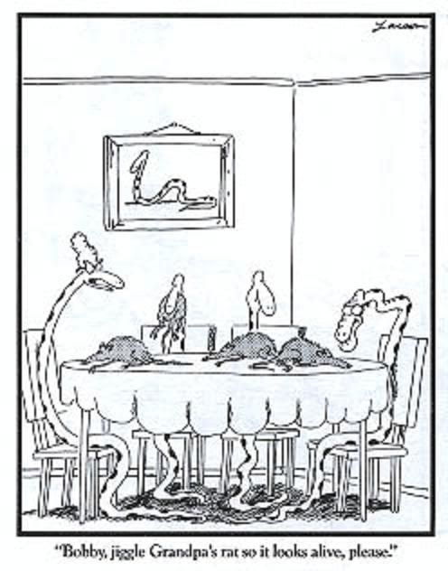 snakedinner-larson.jpg