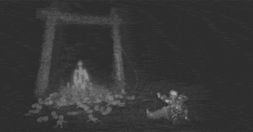 82879520.gif