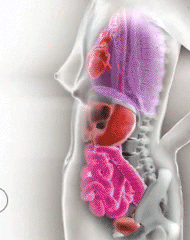 Bps3c2a.gif