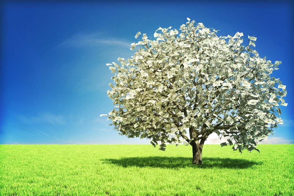1369881993_money-tree-small.jpg
