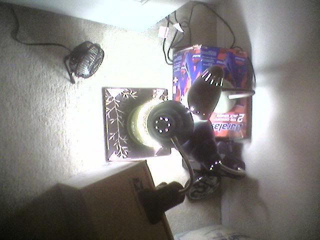 NewLights2.jpg