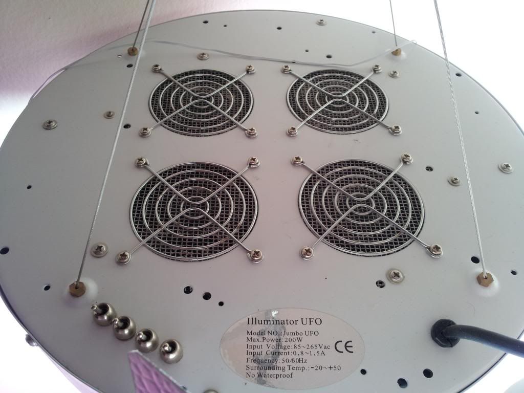 20121106_122926.jpg