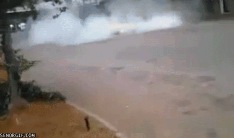gifs_09.gif