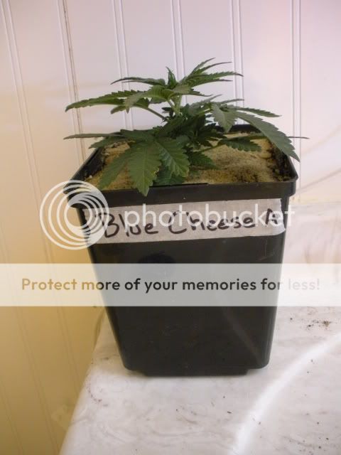 DSCN1640.jpg