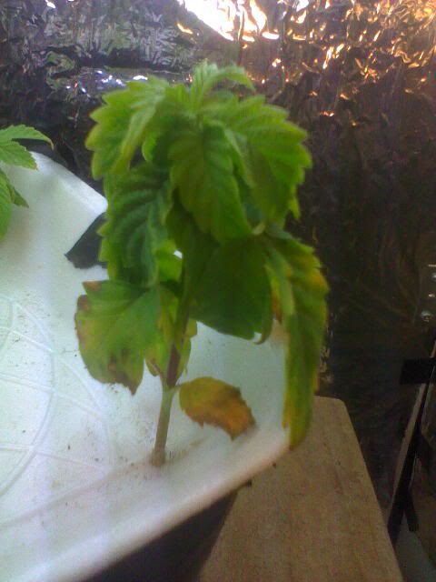 Apr11_0007.jpg