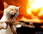 ak47cat1502op.gif