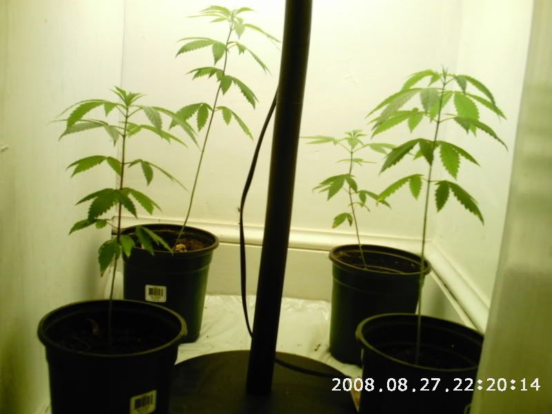 PHOT0082.jpg