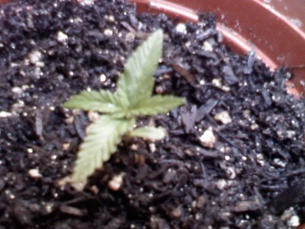 downsized_0825081809.jpg