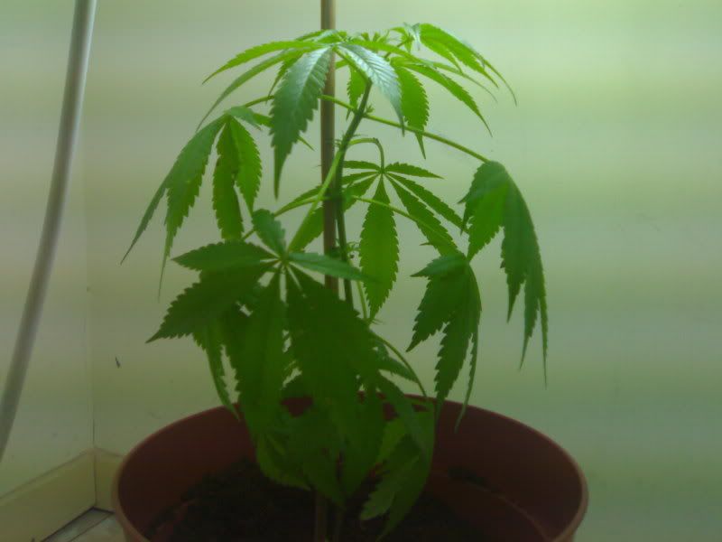 20092007158.jpg