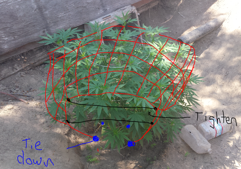 sunshine2_zps37bb5820.png